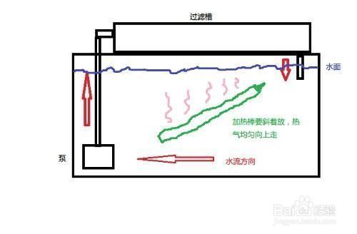 水族箱加热器维护周期：水族箱加热器日常检查 其他宠物 第2张