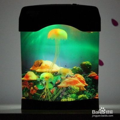 水族箱加热器维护周期：水族箱加热器日常检查 其他宠物 第3张