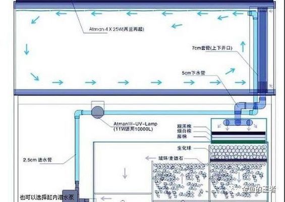 水族箱滤材选择技巧：水族箱滤材培菌效果对比，滤材清洁频率及方法 其他宠物 第3张