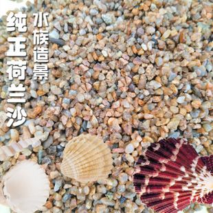 水族箱底沙选择指南：水族箱底沙对水质影响，珊瑚砂适用鱼种推荐 其他宠物 第3张