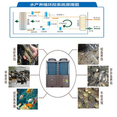 鱼苗水温调控设备选择：水温调控设备选择的重要性及其对鱼类生长和存活率的影响 其他宠物 第1张