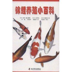 如何判断锦鲤健康状态：如何判断锦鲤的健康状态 其他宠物 第5张