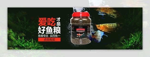 淘宝鱼粮优惠券领取方法：淘宝鱼粮优惠券使用技巧 其他宠物 第4张