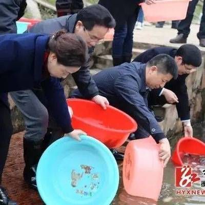 水霉病治疗的有效药物：水霉病的有效药物包括多种抗真菌药物和其他治疗方法 其他宠物 第2张