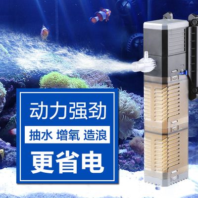 如何监测水族箱内氧气含量：如何监测水族箱内的氧气含量 其他宠物 第6张