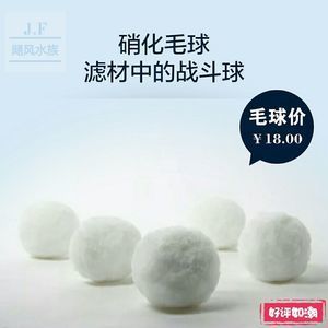 陶瓷环与生化球的对比：陶瓷环与生化球的区别 其他宠物 第5张