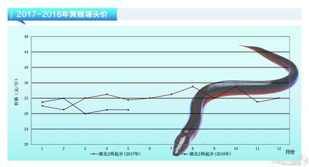 黄鳝市场价格波动原因：端午节前后黄鳝价格变化,不同季节黄鳝消费趋势,黄鳝市场价格预测方法 其他宠物 第1张