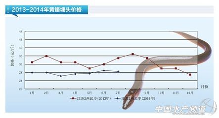 黄鳝市场价格波动原因：端午节前后黄鳝价格变化,不同季节黄鳝消费趋势,黄鳝市场价格预测方法 其他宠物 第5张