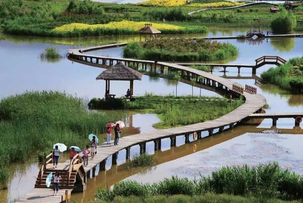 亚马逊河湿地生态功能：亚马逊河流湿地对全球生物多样性现状 其他宠物 第3张