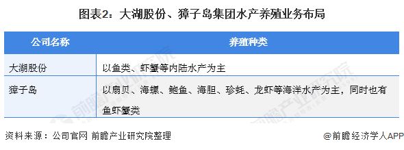 獐子岛鱼苗价格对比：獐子岛鱼苗最新价格查询 其他宠物 第1张