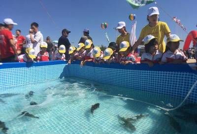 血鳍银板水质管理技巧：血鳍银板水质监测方法 其他宠物 第2张