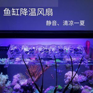 水族箱散热器选购技巧：水族箱散热器的选择 其他宠物 第4张