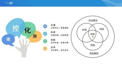 如何建立有效的内部监管机制？：内部监管机制的建立有效的内部监管机制是一个复杂的过程 其他宠物 第4张