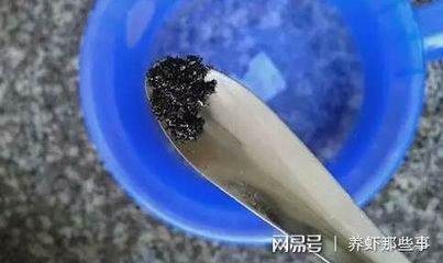 龙鱼一个月不开口了：龙鱼为什么一个月都不开口呼吸？ 水族问答 第2张