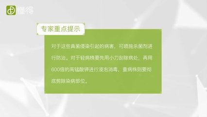 龙鱼一个月不开口了：龙鱼为什么一个月都不开口呼吸？ 水族问答 第5张