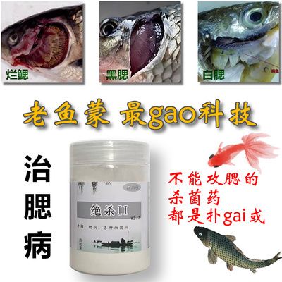 鳃腹水病的治疗方法：鳃腹水病怎么治疗 其他宠物 第4张