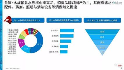 水族滤材品牌口碑对比：森森/sunsun滤材历史沿革 其他宠物 第6张