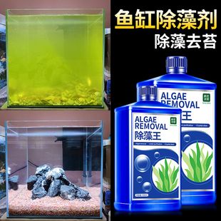 如何去除水族箱中的青苔：怎样去除水族箱中的青苔 其他宠物 第4张