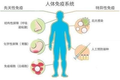 高温对鱼免疫系统影响：高温对鱼免疫系统有影响，高温对鱼类免疫系统有影响 其他宠物 第5张