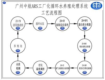 提高循环水养殖存活率的方法：如何提高循环水养殖存活率 其他宠物 第3张