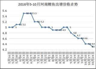 暹罗巨鲤幼体养殖的利润空间：暹罗巨鲤幼体养殖具有一定的利润空间 其他宠物 第4张