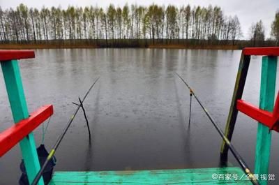 不同季节水质管理策略：不同季节水质管理策略分析春季水质管理的重点和策略 其他宠物 第5张