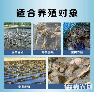 增氧片使用的注意事项：使用增氧片需要注意哪些事项？ 其他宠物 第5张