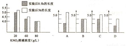 <strong><mark>羽毛刀鱼苗</mark></strong>蛋白质来源选择：<strong><mark>羽毛刀鱼苗</mark></strong>的蛋白质来源选择应多样化<strong><mark>羽毛刀鱼苗</mark></strong>饲料品牌推荐