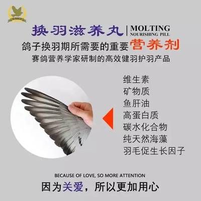 羽毛刀鱼苗蛋白质来源选择：羽毛刀鱼苗的蛋白质来源选择应多样化羽毛刀鱼苗饲料品牌推荐 其他宠物 第4张