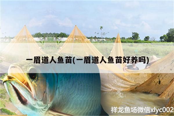 如何检测一眉道人鱼苗健康：一眉道人鱼苗健康检测方法 其他宠物 第2张