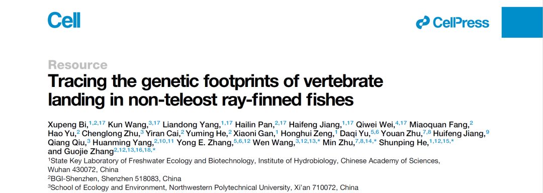 肺鱼基因组研究的挑战：肺鱼基因组研究对进化生物学的影响 其他宠物 第5张