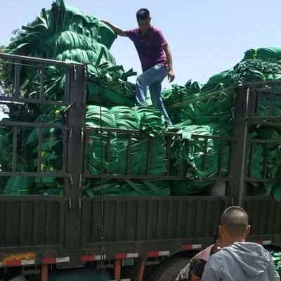 仿生水草在水质净化中的应用：仿生水草在水质净化中的具体应用 其他宠物 第3张