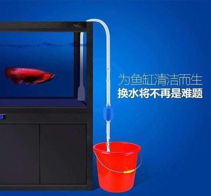 水族箱换水最佳时机：水族箱中换水的最佳时机 其他宠物 第2张