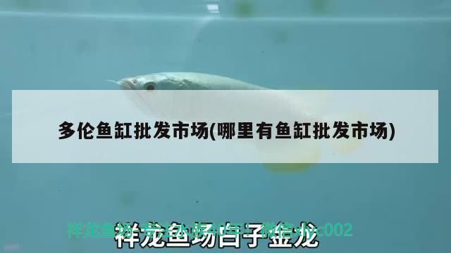 申古三间鱼专用饲料购买渠道：申古三间鱼饲料价格对比申古三间鱼饲料价格对比 其他宠物 第4张