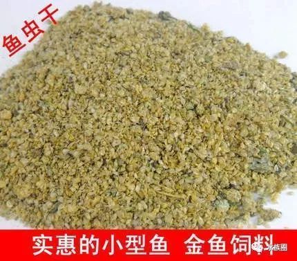 鱼粮中天然与人工原料对比：天然与人工饲料的区别和优劣 其他宠物 第1张