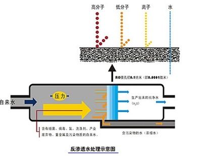 化学过滤活性炭的使用寿命：化学过滤活性炭的使用寿命一般为3-6个月左右 其他宠物 第2张