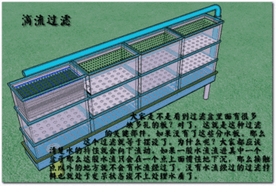 滤材生物附着的最佳条件：滤材生物附着滤材的维护方法,不同滤材的使用寿命比较 其他宠物 第3张