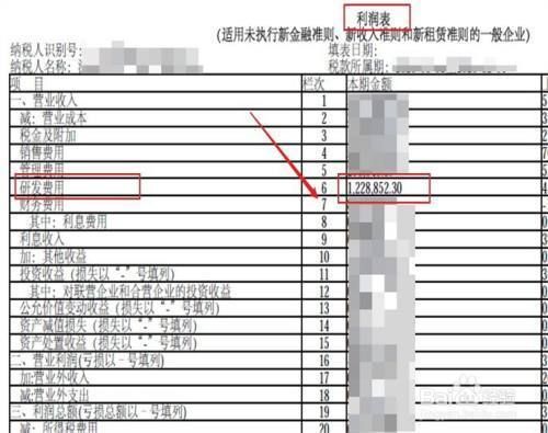 皖和信息技术研发投入占比：皖和信息技术的研发投入占比为25% 其他宠物 第1张