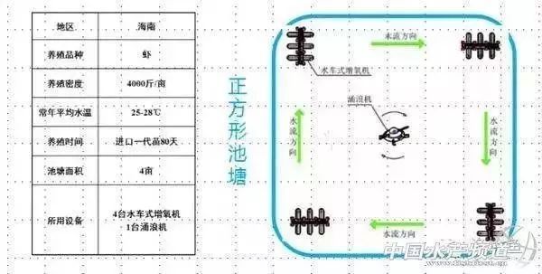 鱼苗养殖溶氧管理策略：鱼苗养殖中如何选择增氧机 其他宠物 第1张