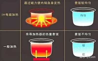 如何选择合适加热器：加热器选择指南 其他宠物 第3张