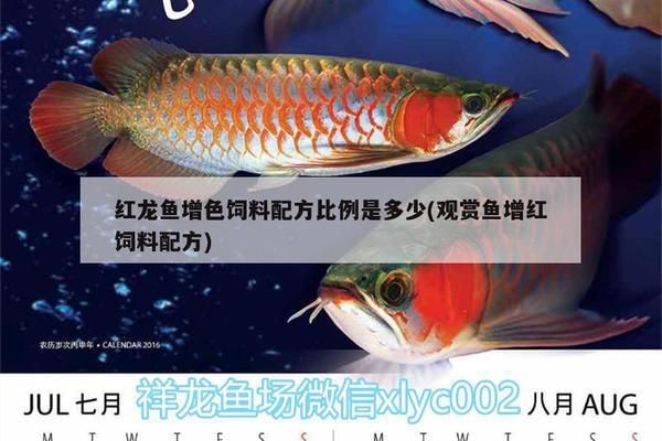 鱼池过滤器哪种类型最耐用？：赛德清鱼池过滤器材质对比分析赛德清过滤器用户评价 其他宠物 第2张