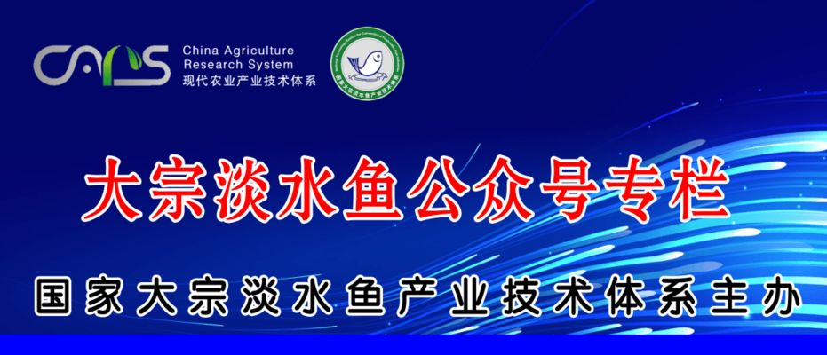 柠檬鲫品种间杂交效果：柠檬鲫品种间杂交繁殖技术要点柠檬鲫杂交实验结果分享 其他宠物 第1张