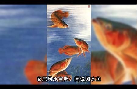 水族箱风水布局的科学依据：水族箱风水布局是近年来兴起的一种科学养鱼方法 其他宠物 第4张