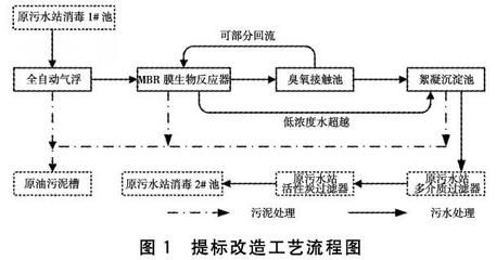 生物过滤系统的选择与维护：水族箱生物过滤器选择与维护 其他宠物 第4张