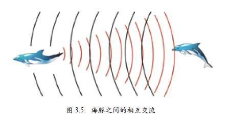 海豚超声波定位的实际应用：厦门大学张宇教授课题组推出一类新型声学软生物超材料（sbm） 其他宠物 第3张