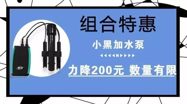 鱼苗用药指南与误区解析：常见的鱼苗用药错误和误区解析鱼苗疾病防治误区 其他宠物 第2张