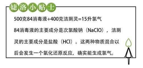 家用消毒剂安全指南：如何自制天然家用消毒剂 其他宠物 第1张