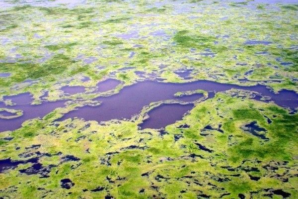 水质检测指标的详细解读：如何准确测量水体中的各项污染物含量 其他宠物 第2张