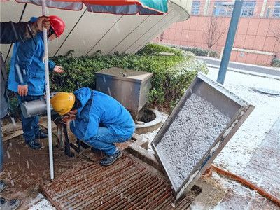 雪鲫鱼繁殖缸水质监测工具推荐：适合雪鲫鱼繁殖缸的水质监测工具 其他宠物 第4张