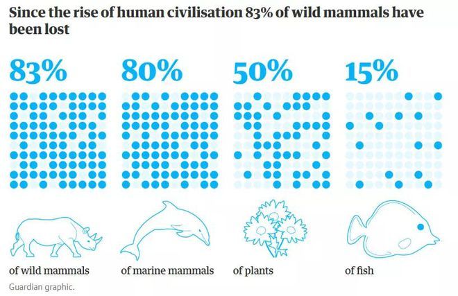 海洋生物对人类的影响：海洋生物对人类有着深远的影响 其他宠物 第5张